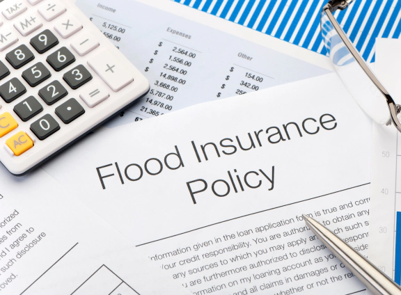 close up shot of a flood insurance policy